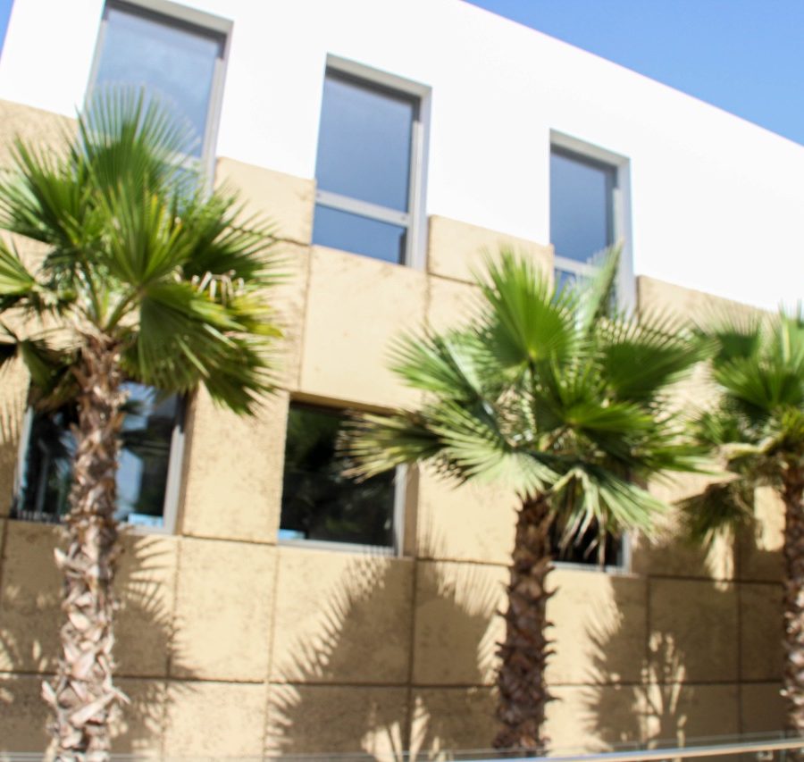 WhatsApp Image 2022-09-21 at 15.16.45