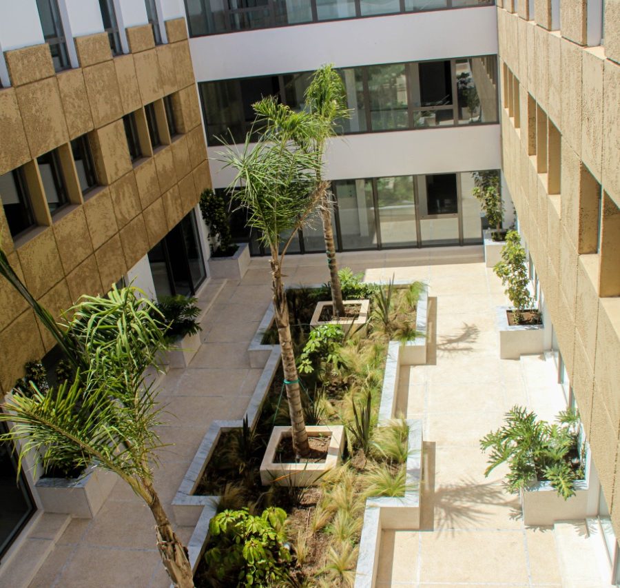 WhatsApp Image 2022-10-04 at 17.30.46 (1)